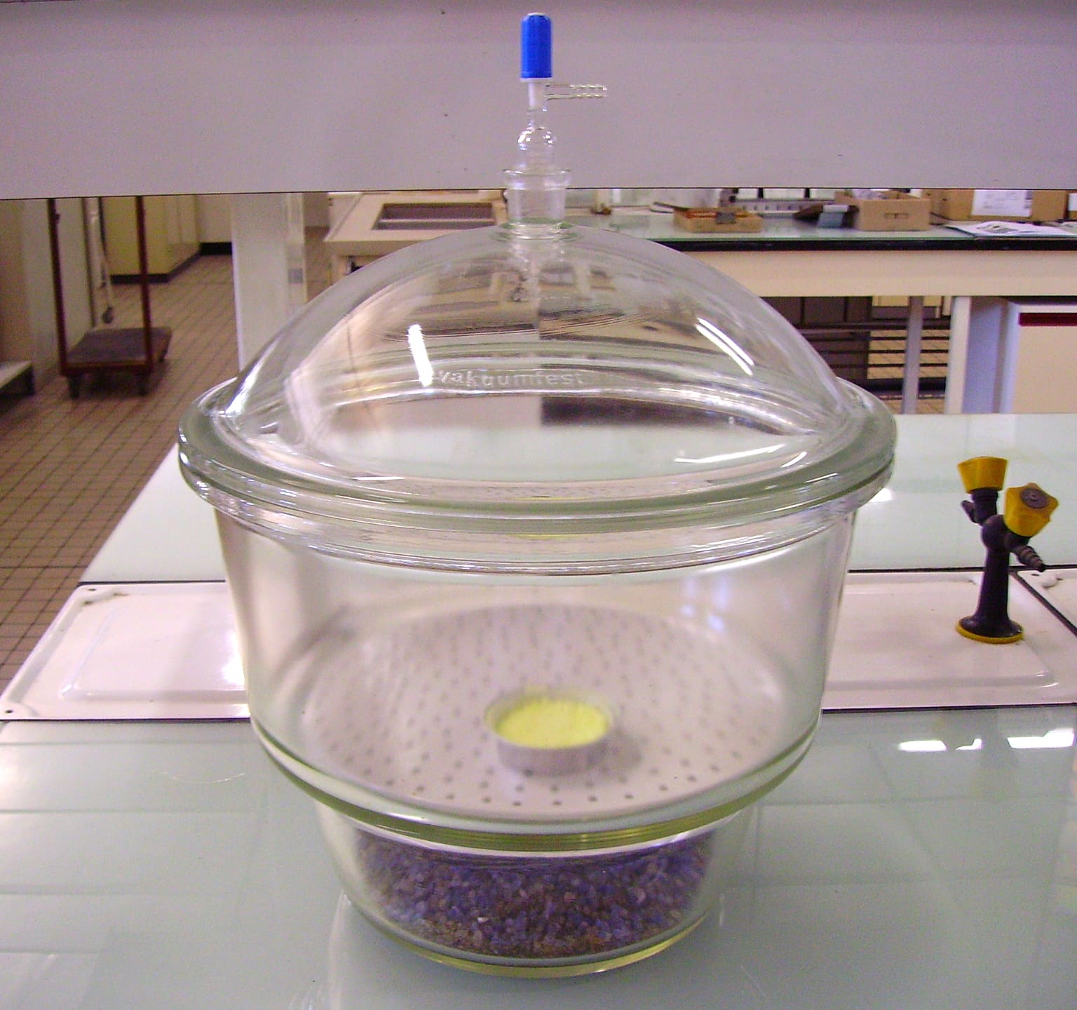 A glass laboratory vacuum desiccator with a domed lid and vacuum valve, sitting on a stand