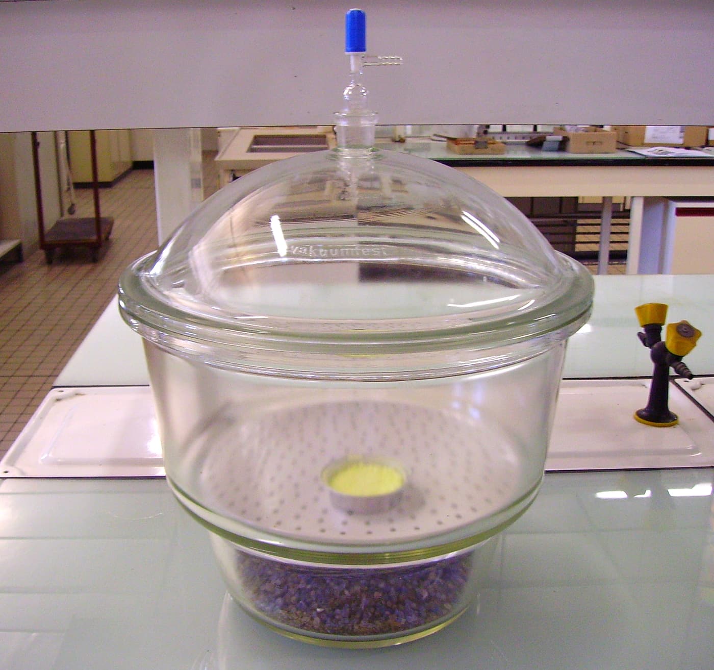 A glass vacuum chamber with a sealed lid and vacuum port, the same principle used in wood-stabilizing chambers